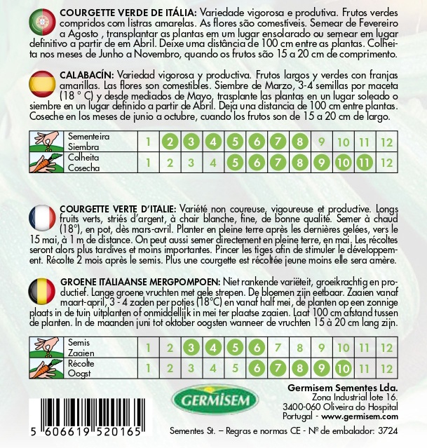 Courgette verde de Itália - GROWIT
